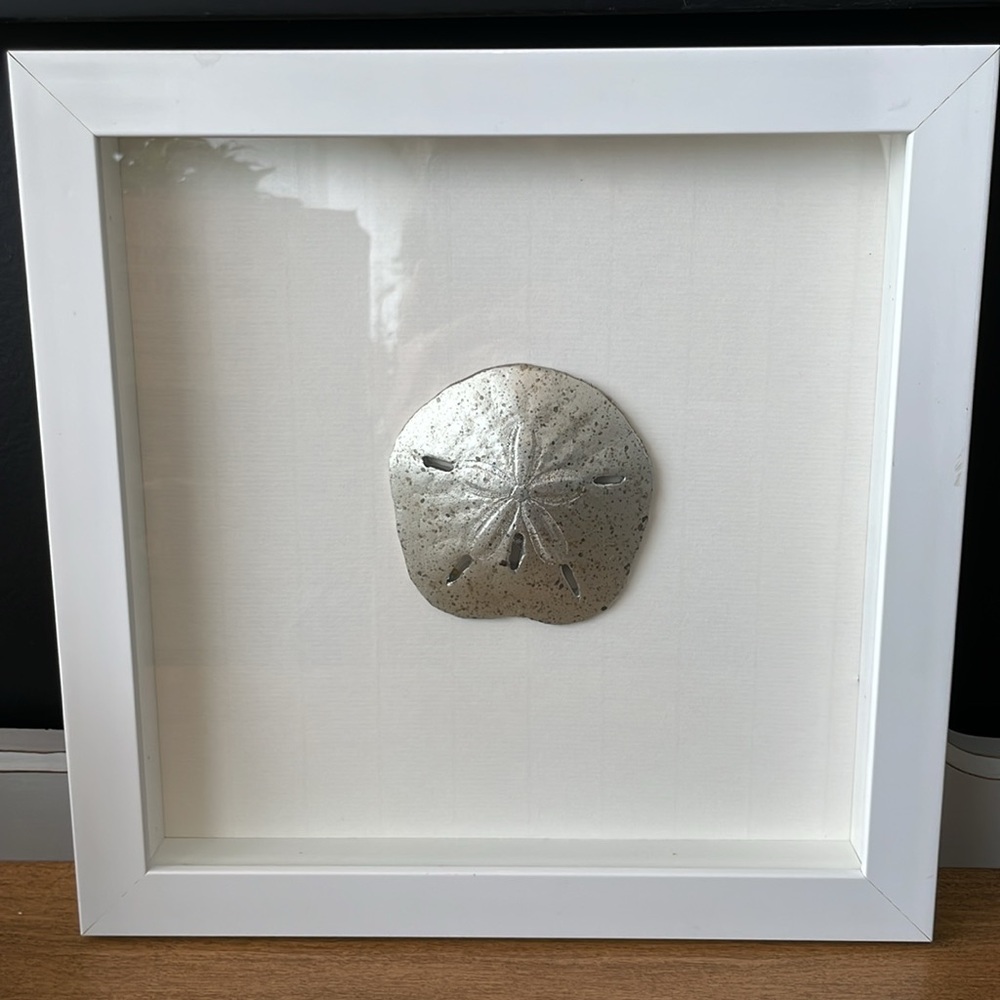 Shadow boxed square Silver Sand Dollar dimensional Wall Art